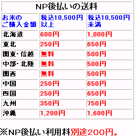 ����NP����