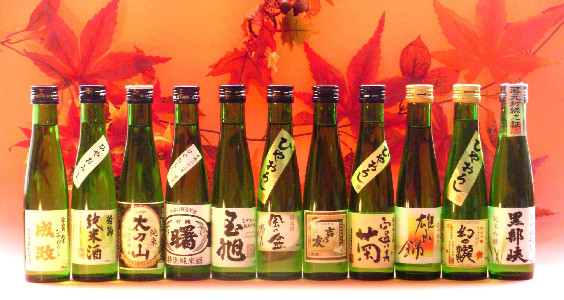 2010Ђ₨낵